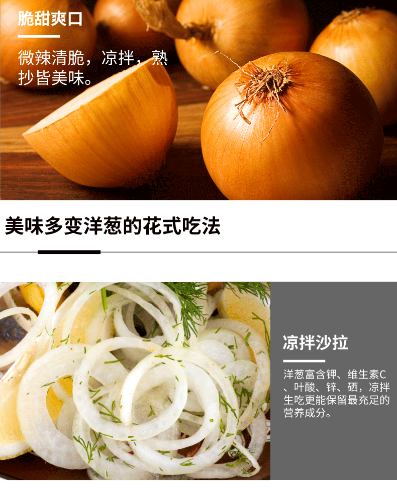 甘肃黄皮洋葱 5斤 图6