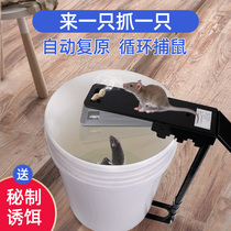 Continuous mouse artifact household with mouse cage catching the grab of rat potent rat crystalline artifact