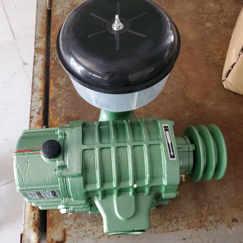 Hongrun Luoz Fan Hre50/65 Aquaculture Microporous Oxygenation Fish Pond Oxygenation Pump Sewage Aeration Treatment