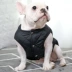 Quần áo chiến đấu chó quần áo mùa thu và mùa đông ấm áp Ba Ge Keji Teddy quần áo thú cưng dày bông vest vest - Quần áo & phụ kiện thú cưng áo chó con Quần áo & phụ kiện thú cưng