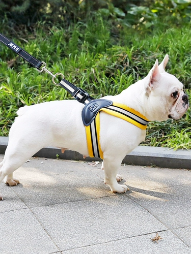 FA Dou Dou Dour Triangle Breakthlery Better Bargieenar жилеты направление веревка небольшие и маленькие собаки продукты