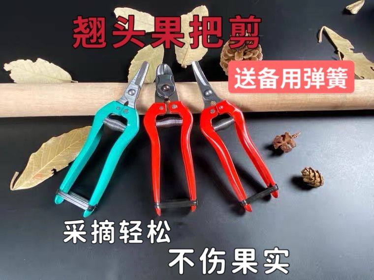 Citrus fruit picking scissors navel orange fruit scissors nest type apple fruit scissors bait scissors fruit scissors fruit picking scissors thin fruit scissors