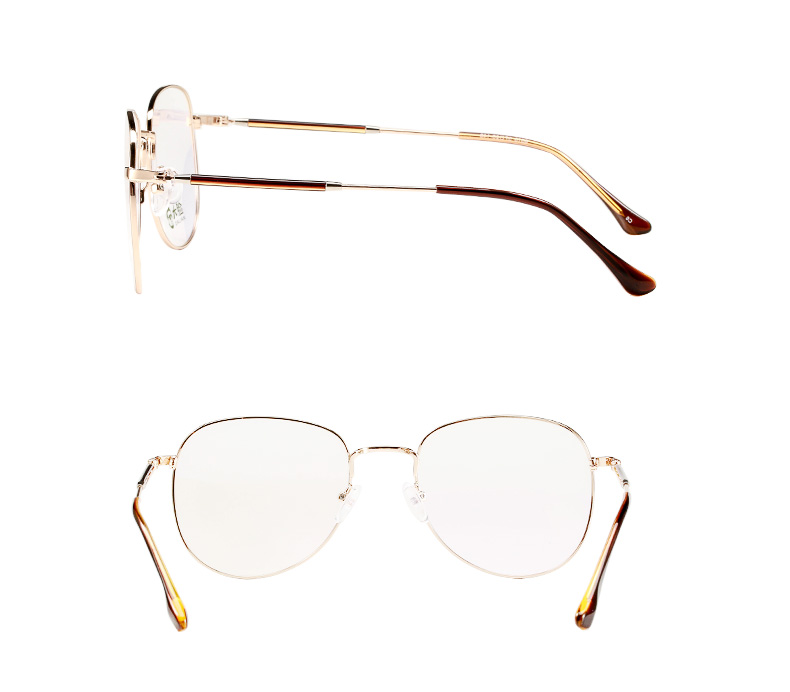 Montures de lunettes en Alliage de nickel - Ref 3138801 Image 22