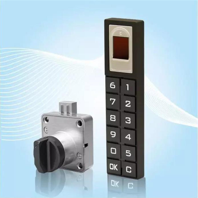 Fingerprint Code Lock Desk Drawer Lock Cabinet Door Single Door Lock Double Door Lock Triple Interlock Wardrobe Lock 100 Page Door Lock