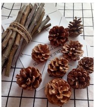 Pine cones ornament ornaments pine tower wild DIY handmade materials Dried flowers creative kindergarten forest dried branches large
