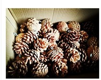 Pine new flower bouquet fruit Christmas tree pendant primary color with sheep earrings can wear rope decorative ornaments dried flower bag