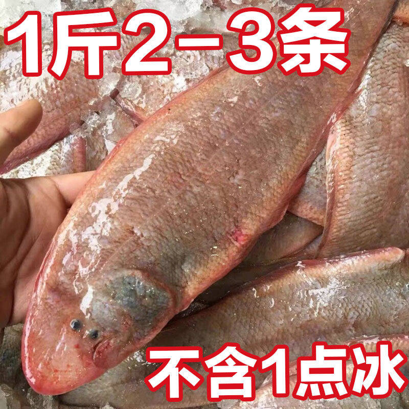 超新鲜海捕真龙利鱼舌头鱼冷冻踏板鱼鳎米鱼牛舌鱼,告别巴沙鱼,享受极致美味!🐟 -巴沙鱼-淘宝好物网