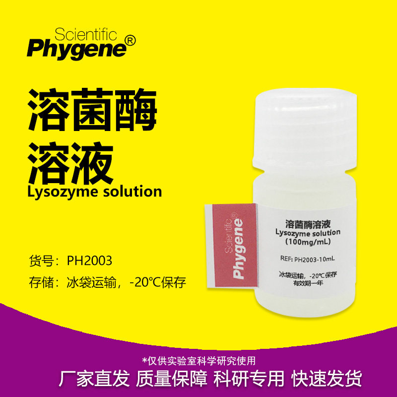 溶菌酶溶液 胞壁质酶100mg/mL 5mg/L 科研实验试剂 PHYGENE