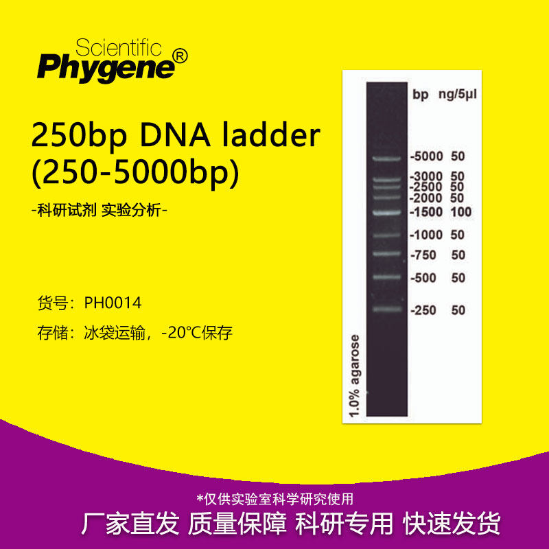 250bp DNA Marker ladder (250-5000bp) 100T [PH0014 PHYGNE]