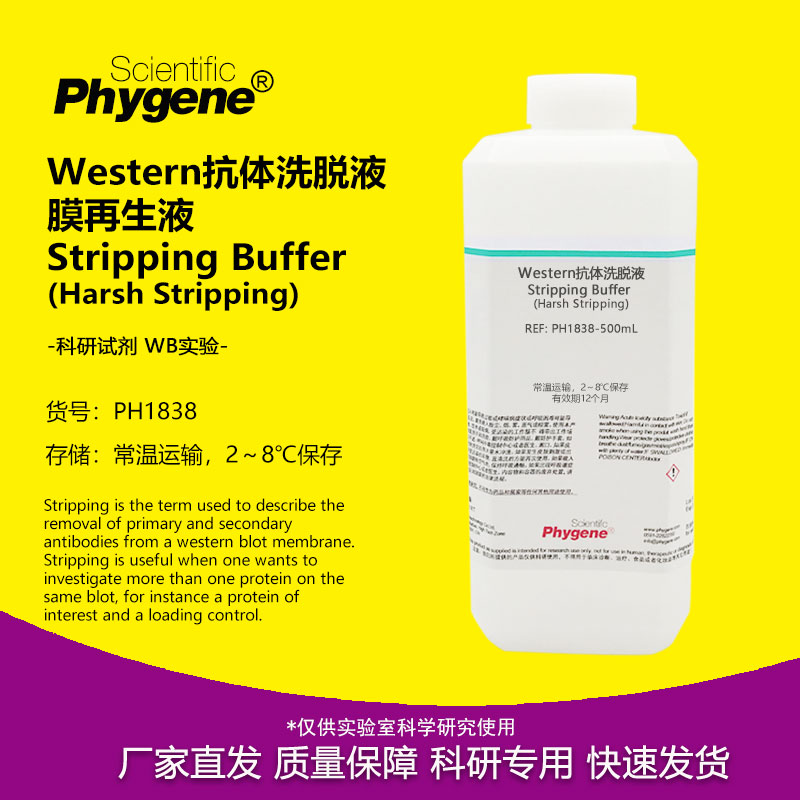 WB一抗二抗洗脱液抗体膜再生液 Harsh Buffer 抗体剥离去除液