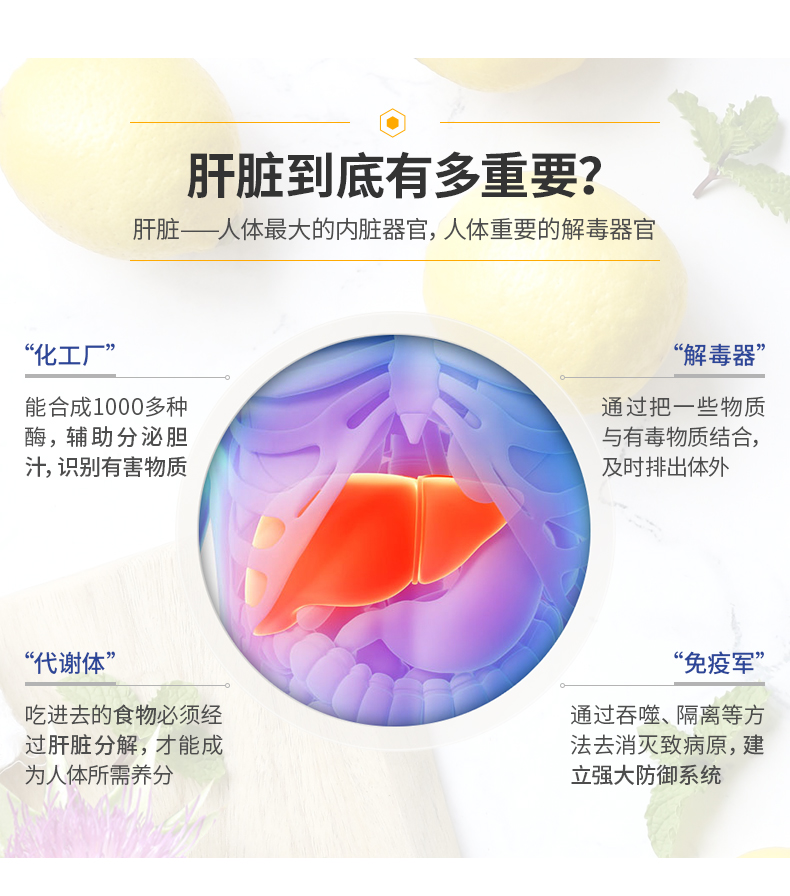 德国进口 Zirkulin 奶蓟草护肝片60片 解酒养肝 图4