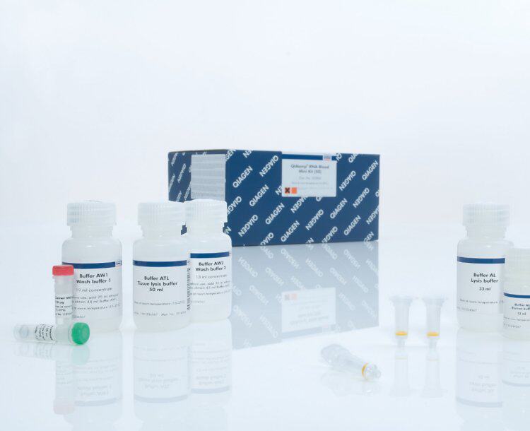 Qiagen全血样本胞内rna小提试剂盒52304QIAamp RNA Blood Mini Ki