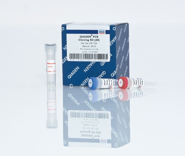 Qiagen 929522|QIAxcel配件QX Alignment Marker 15 bp/3 kb (1.