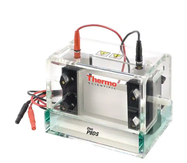 赛默飞 Thermo 耐用、长使用寿命 双凝胶垂直电泳系统 Owl?