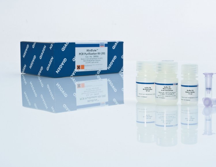 Qiagen MinElute PCR产物纯化试剂盒Qiagen28004
