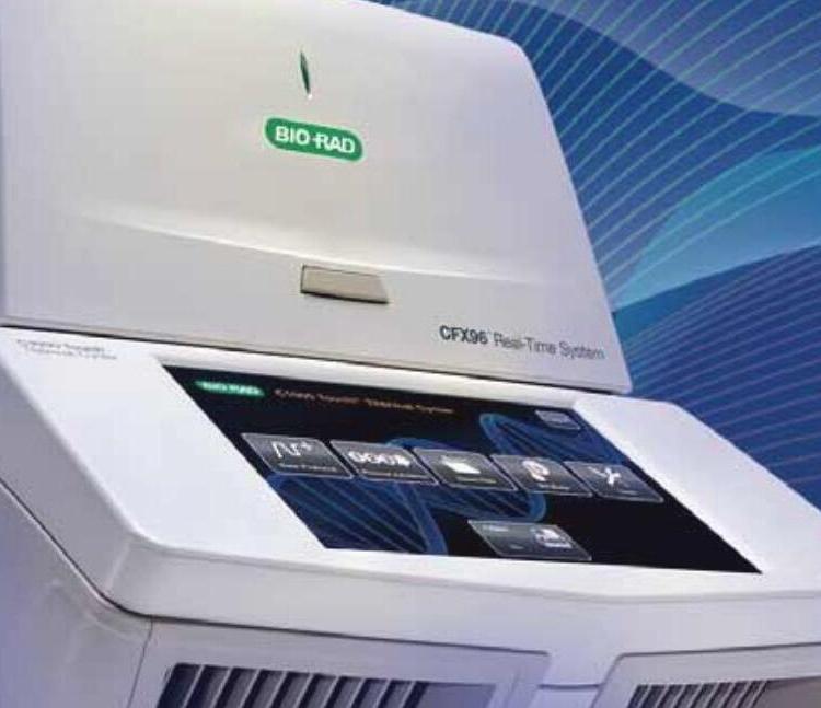 伯乐bio-rad CFX384 Touch荧光定量PCR仪