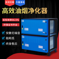 Low-altitude emission fume purifier 16000 air volume Hotel kitchen commercial environmentally friendly catering bag over inspection