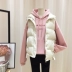 Áo vest ngắn mùa thu đông cho nữ thời trang nữ 2021 Áo vest