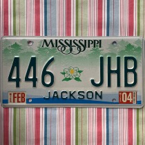 U.S. license plate MississippiMS Mississippi 446JHB Country Foreign Old Brand Decorative Iron Wrangler