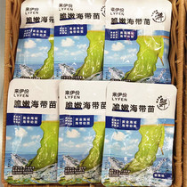 Coming to Iportions crisp kelp seedlings 20 packets (about 680g) fresh and spicy sea grass ready-to-eat small packaging snacks snack