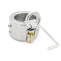 Prison bird stainless steel ring pendant restraint alternative toy metal CB6000 adult products
