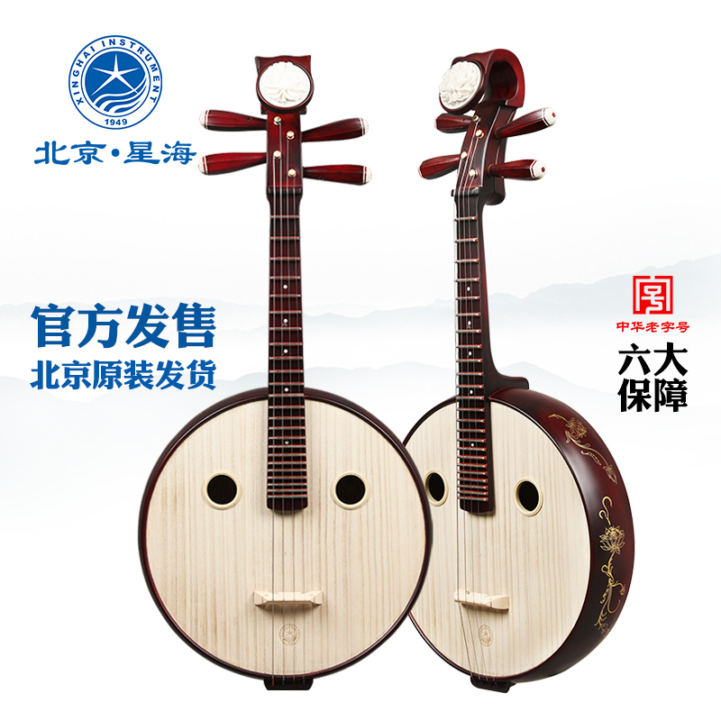 Xinghai Zhuan musical instrument beginner color Wood wine red steel round hole flower rich headdress 8DW11-JF