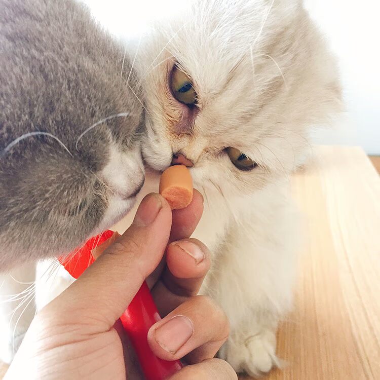 Manduri dog snack gà ham xúc xích 30 Teddy huấn luyện vật nuôi xúc xích chó mèo ăn nhẹ thức ăn smartheart