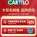 Вместительный и большой универсальный чемодан, 20 дюймов, 24 дюймов, 28 дюймов