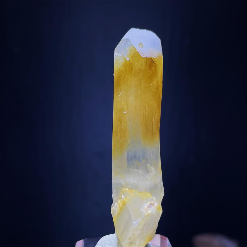 /