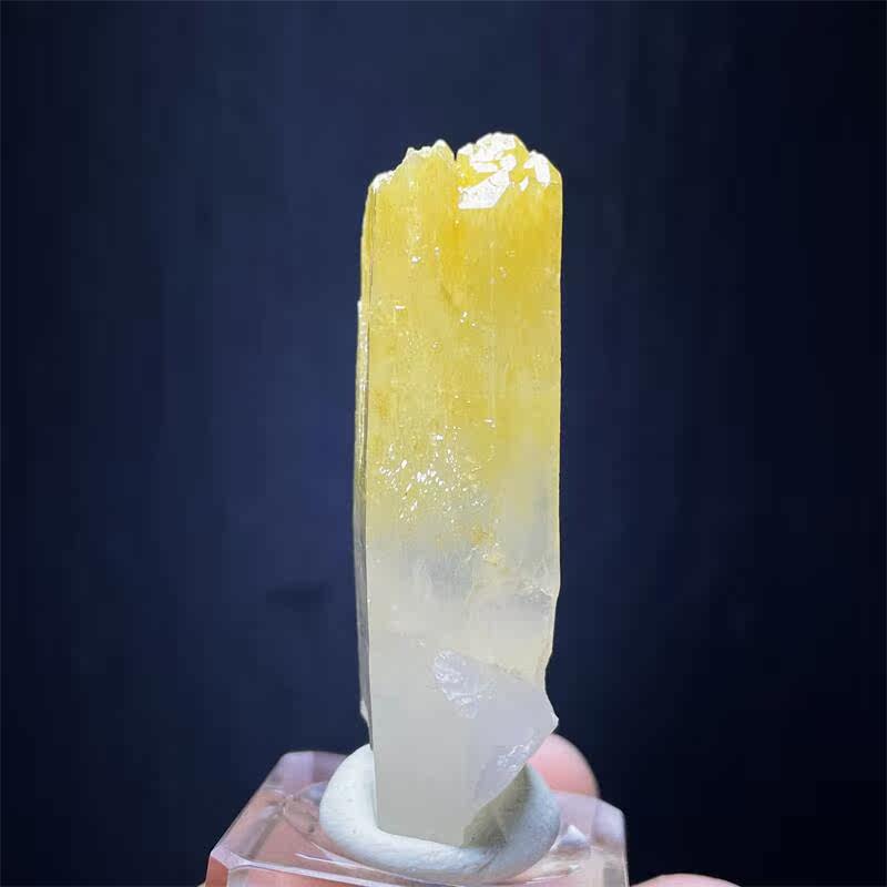 /