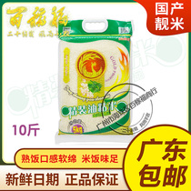 Golden Phoenix hardcover oil sticky rice 5KG Guangzhou Rice 10kg vacuum high quality late indica rice new rice Guangdong