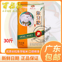 Golden phoenix ivory sticky rice 15KG long grain fragrant long grain rice new rice 30 catfish rice private house dish with Guangdong