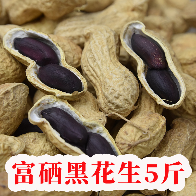 (Raw Cooked Optional) Black Peanut Seed Seed 5 Catty With Shell Raw Rich Selenium Black Purple Peanuts New Sundried Black Peanuts