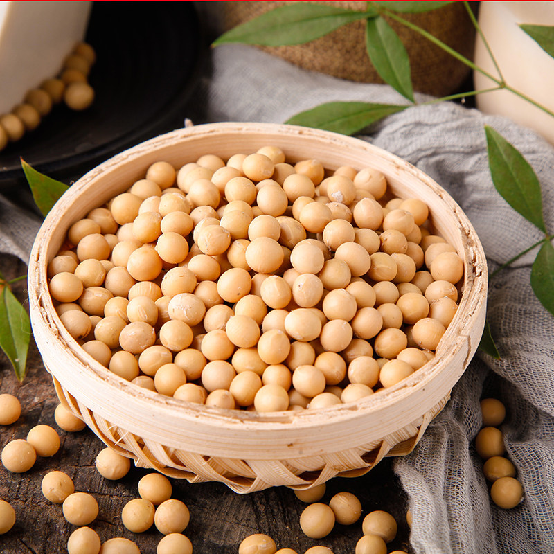 Northeast soybeans 2021 new soybean to beat soy milk special farmyard non-genetically modified soybean seed self-growing soybean 5 catty