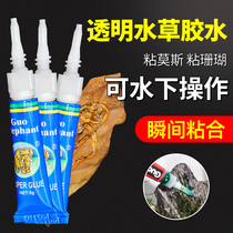 National elephant Moss glue water grass glue fish tank landscape skeleton glue Moss sunken wood coral can be underwater viscose