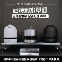 Nitelli aquatic lamp full spectrum Downlight LED bracket lamp explosion algae lamp at3 Magic Lamp Lamp plate New PRO APP