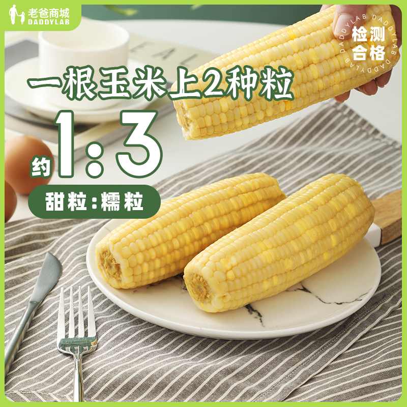Dad Reviews Far Department Corn Fresh Sweet Glutinous Heating Ready-to-eat Coarse Grain Breakfast Hybrid Non-GM Factory Hair-Taobao