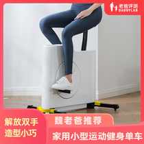 Factory delivery-dad evaluation dynamic fitness bicycle family small sports pedal indoor exercise