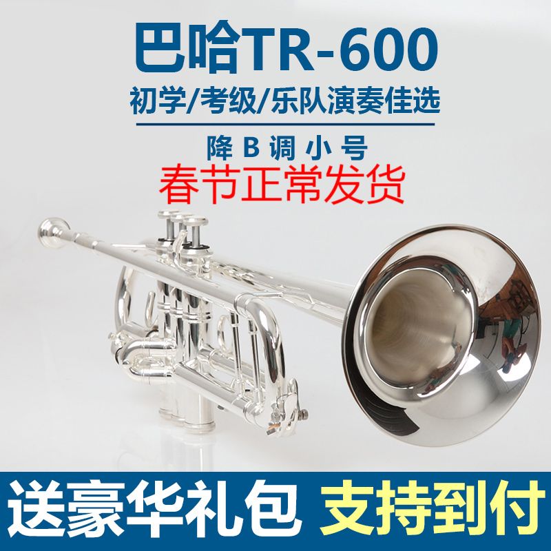 Trumpet Instrument Beginner B-key Professional Performance Grade Taiwan Original Baja TR600