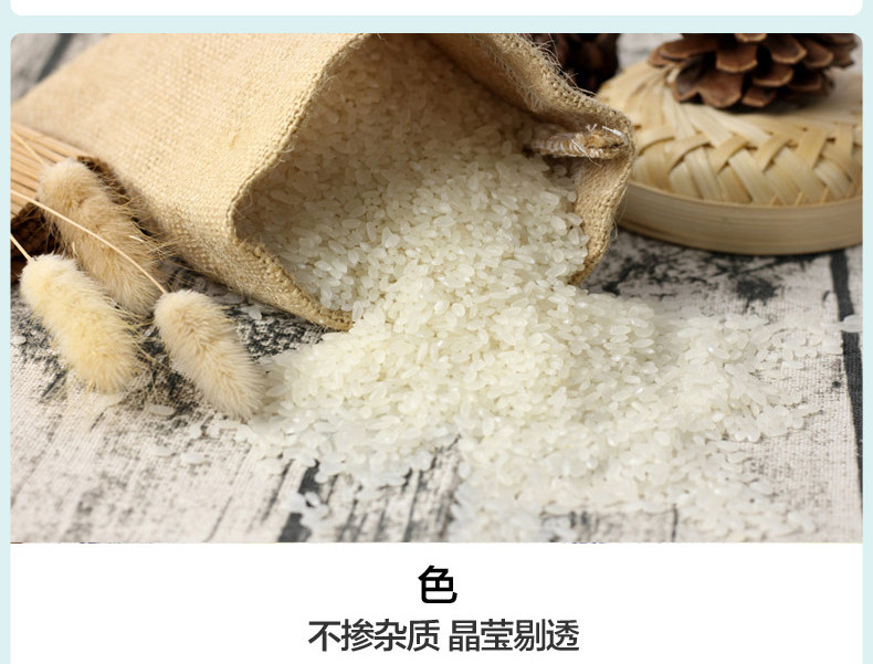 Beida Desert Long Grain Rice_07.jpg