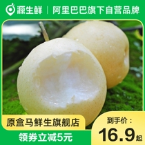 Hebei authentic crown pear fresh 5 catties fruit duck pear Sydney pear Dangshan pear Cuiguan pear season full box