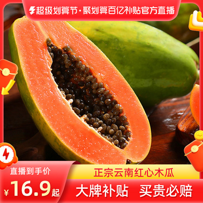 [正宗云南红心牛奶木瓜5斤起当应季时令孕妇水果新鲜现摘顺丰包邮]