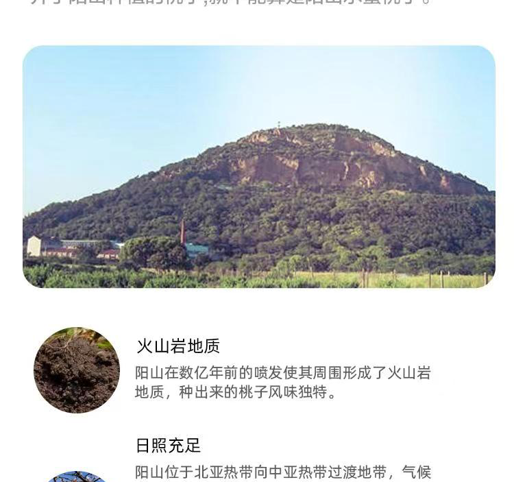 盒马生鲜 正宗无锡阳山水蜜桃 8枚礼盒装 单个200g+ 图7