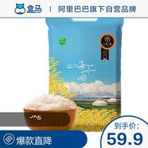 Taoxiang sweet Yuan Meng Rice 10kg sea rice saline alkali land planting Xingan League rice season new rice Shunfeng delivery