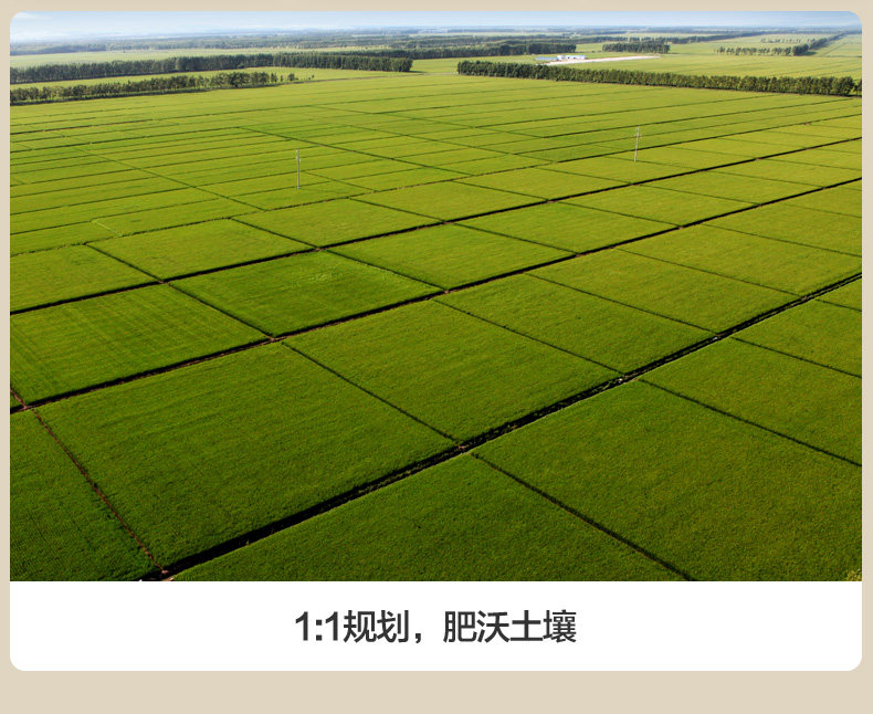 Tiger Forest Rice Pearl Rice 5 кг детализации_06.jpg