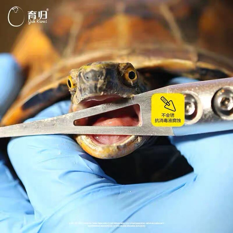 Turtle opener refuses to eat and not open the stand - up pure 304 stainless steel turtle opener