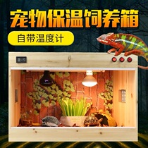 Climbing pet flat feeding box Fir feeding box Tortoise box Lizard spider palace pet incubator