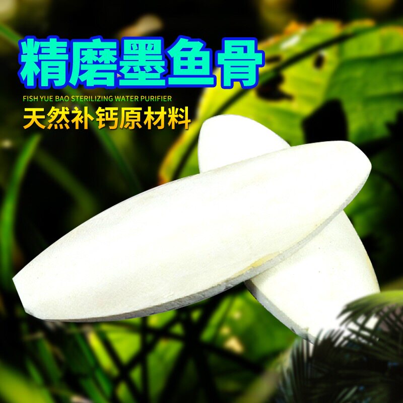 Reptile Ink Fish Bones Turtle Water Tortoise Tortoise Parrot Grinding Tooth Calcium Powder Hamster Nutrition Supplements Feed