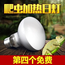 Reptile UVA day lamp Reptile heating lamp Tortoise heating lamp Climbing box heating lamp Day lamp Nomo Poly sand lamp