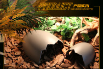 Turtle dodges dinosaur eggshell dodges reptile dodges cave spider Dodges plastic PP water turtle can not be used